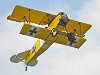 Daryl Fokker 5
