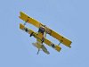 Daryl Fokker 8